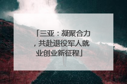 三亚：凝聚合力，共赴退役军人就业创业新征程